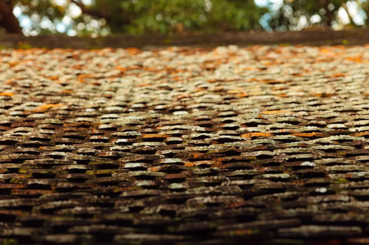 Aging shingle roof with moss growth and granule loss in Rogers, AR